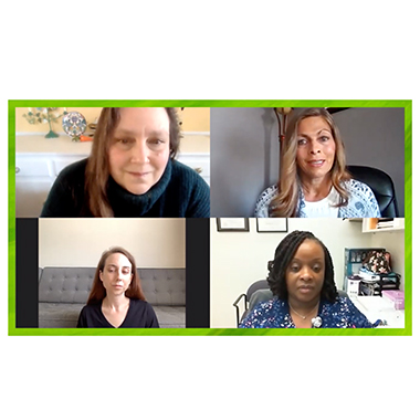 Photo of members of the RISE team on a zoom call