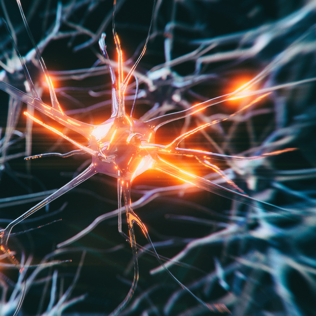 A 3D illustration shows a neural network in blue with neuros firing in amber. 