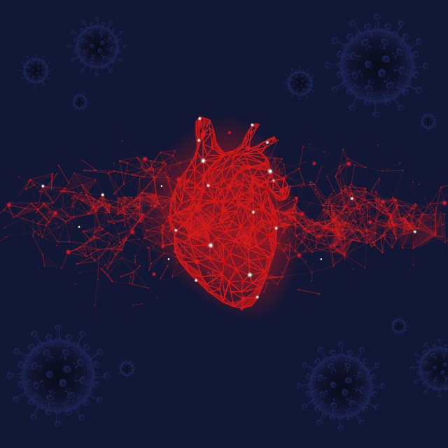 An image represents a special echocardiogram.