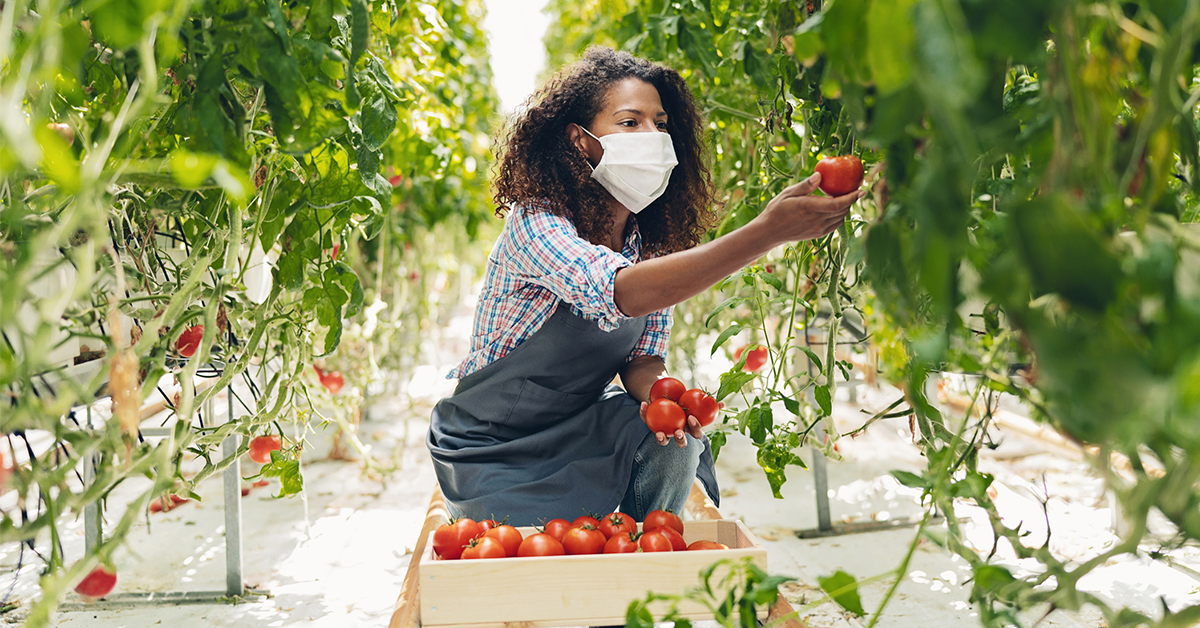 Sibley Memorial Hospital asked 2021 Ward Infinity applicants to focus on three main areas: increasing access and availability to fresh food, strengthening bonds and emotional well-being, and shaping healthy environments. 