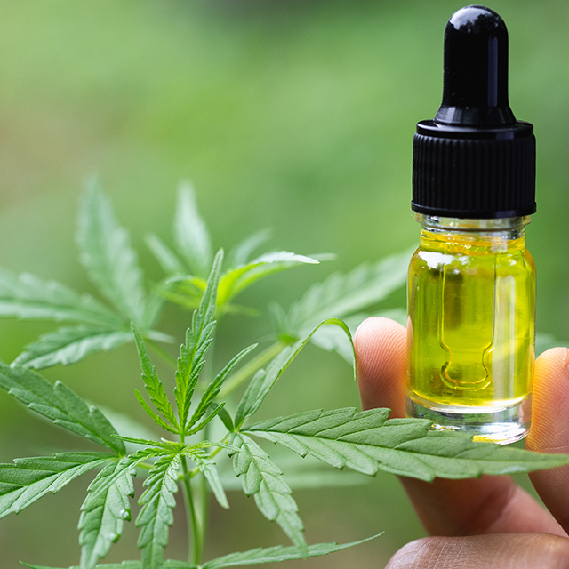 A photo of a bottle of CBD being held next to a marijuana leaf 