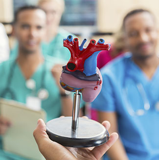 Cholesterol, Prostate Cancer, and Race