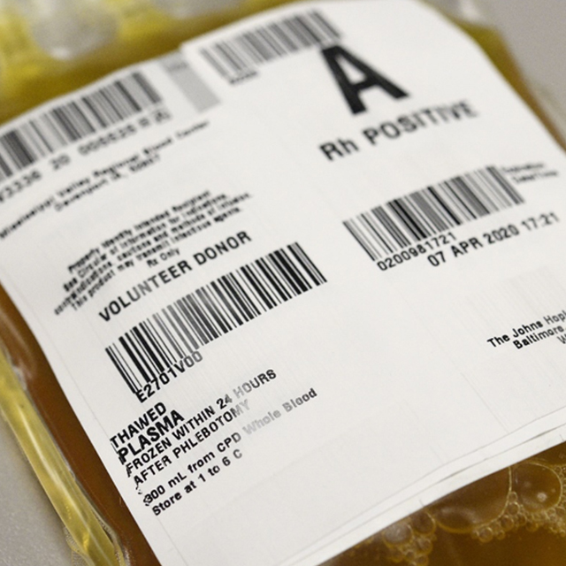 Photo of a bag of donated plasma