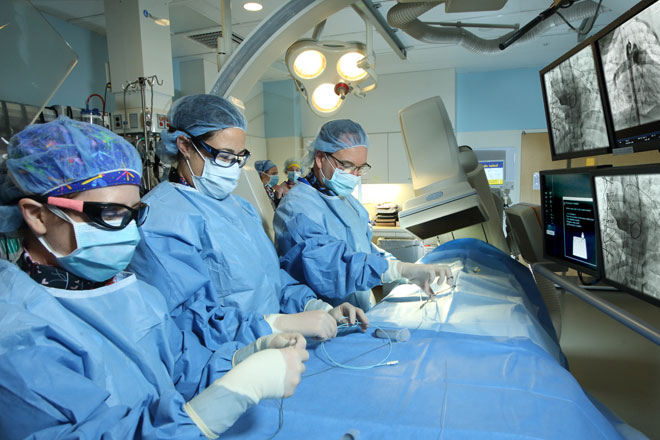 Megan Gray, Dr. Hannah Fraint and Dr. John Thomson 