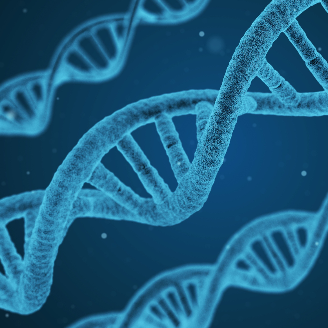 graphic design illustration of dna