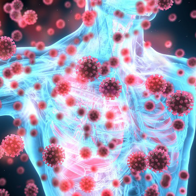 Medical illustration shows COVID viruses all around a human body, which is glowing blue, with the lungs red