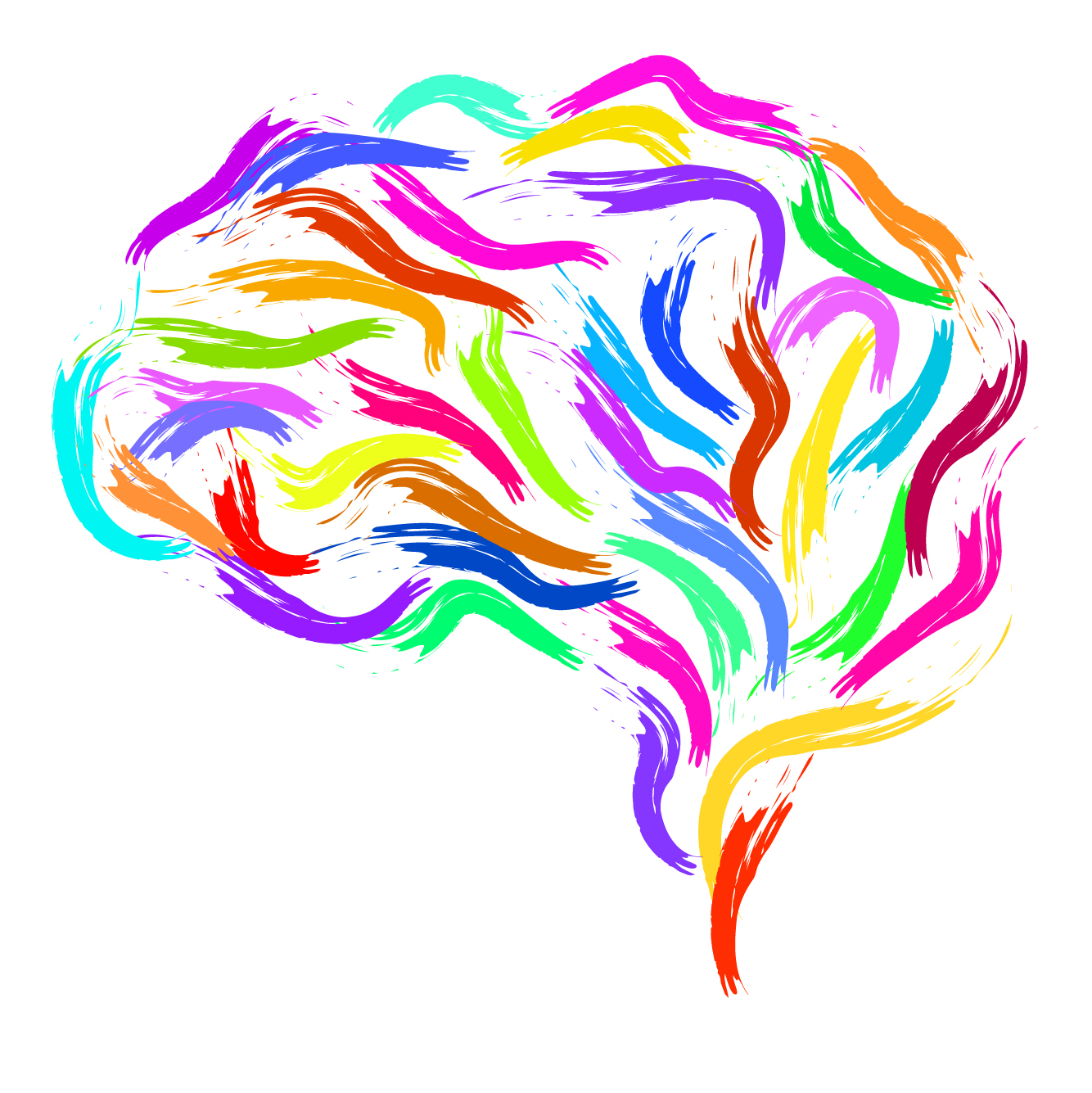 illustration of brain