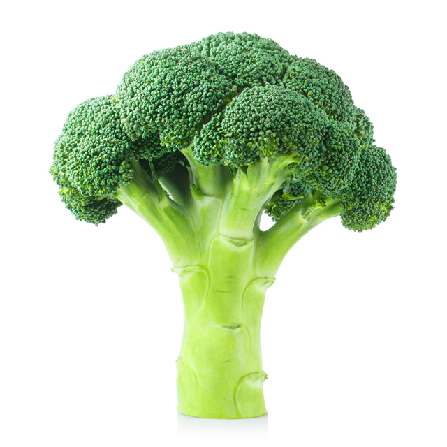 A head of broccoli.
