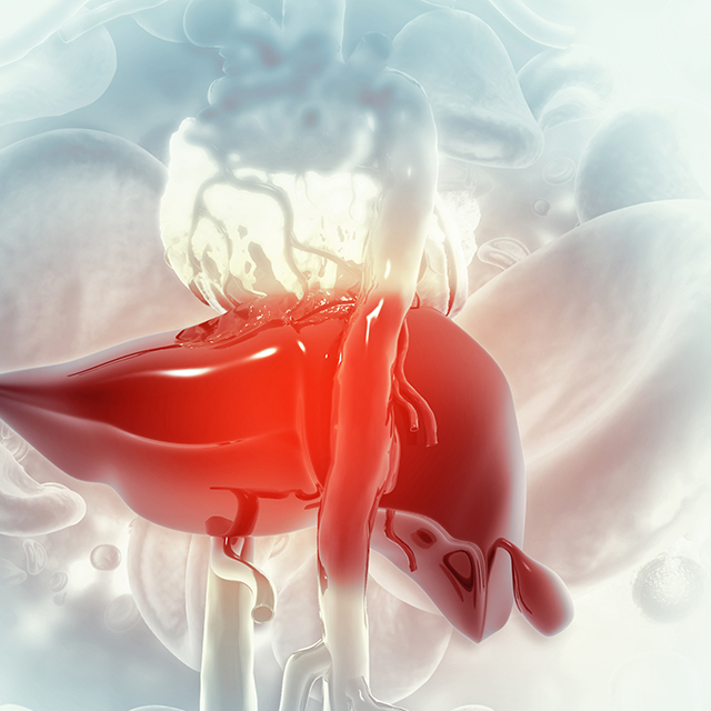 Image of diseased liver on abstract medical background.