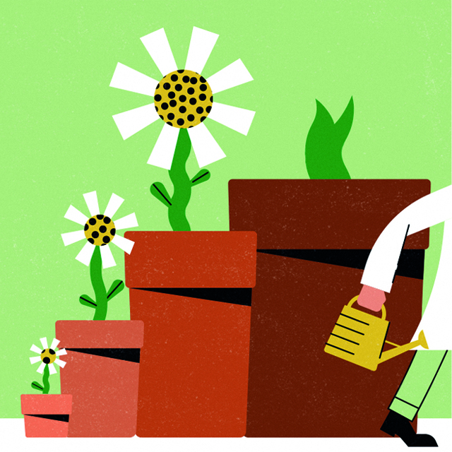 An illustration of 3 plants growing with a fourth in the process of blooming. To the right is a doctor walking out of frame holding a watering pot.
