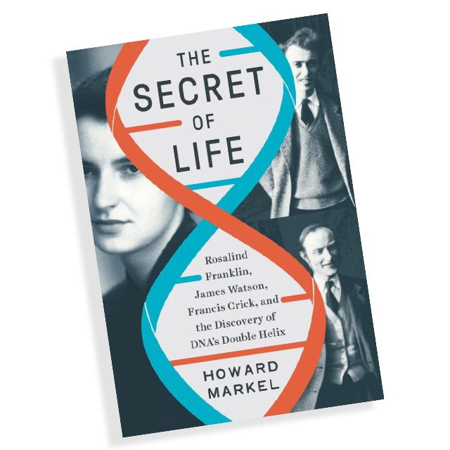 A mock up of the book's cover.