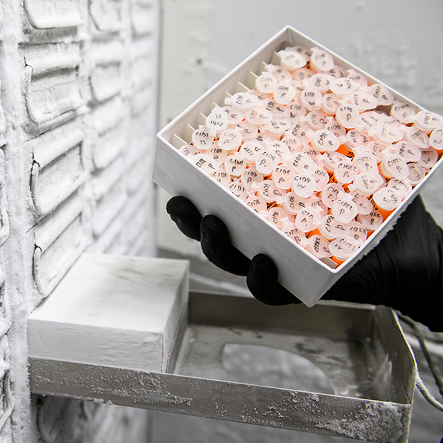 A photo of a freezer.