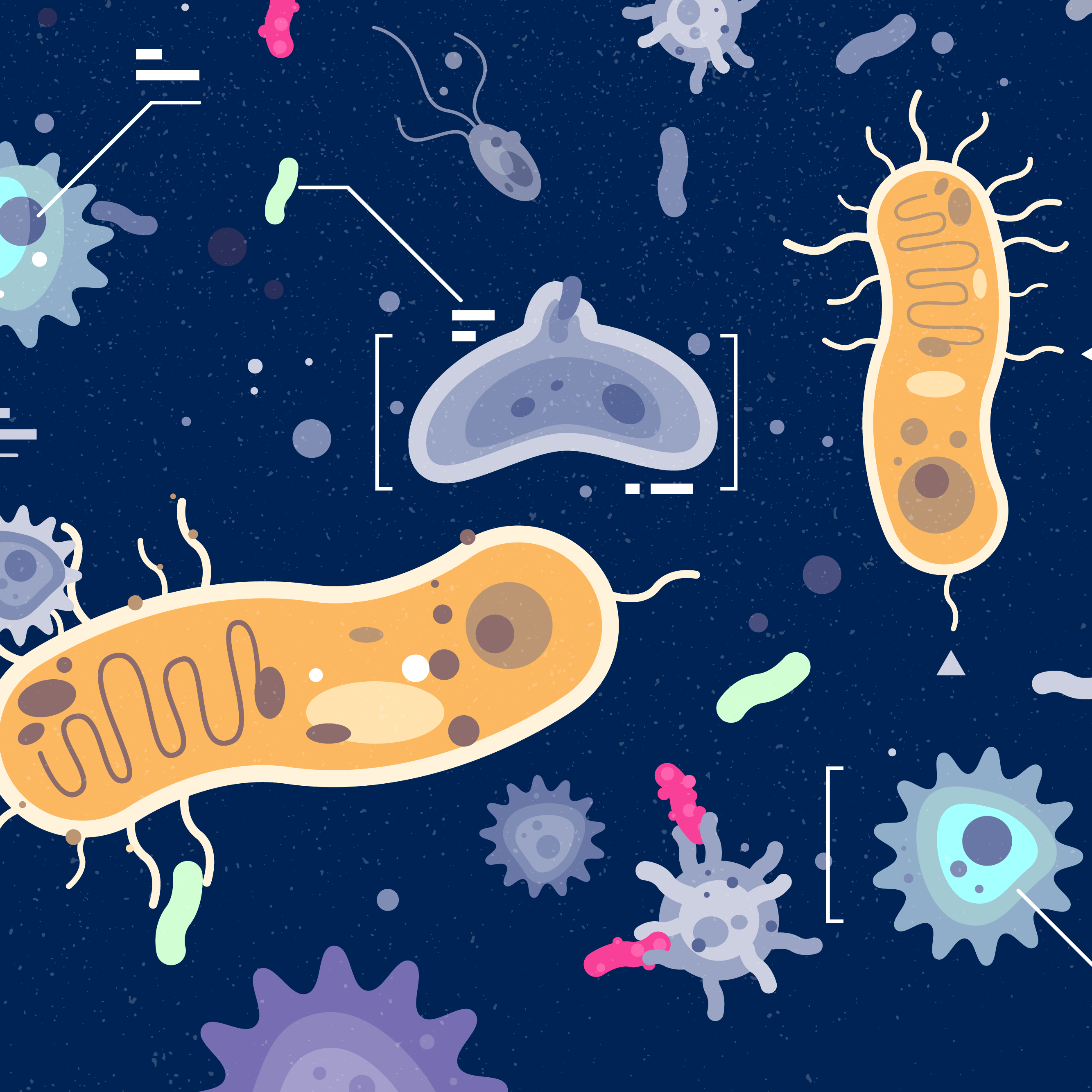 An illustration represents the analysis of germs.