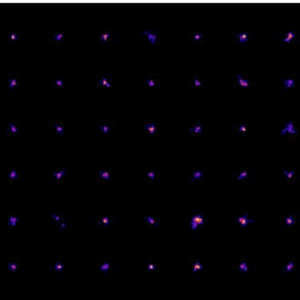 Purple dots arranged in a grid against a black background, representing extracellular vesicles.
