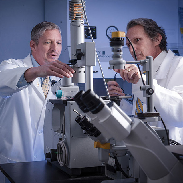 The Patrick C. Walsh Prostate Cancer Research Fund