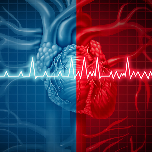 Image shows a graphic of a heart, with blue on the left and red on the white, with an EKG line across the horizontal