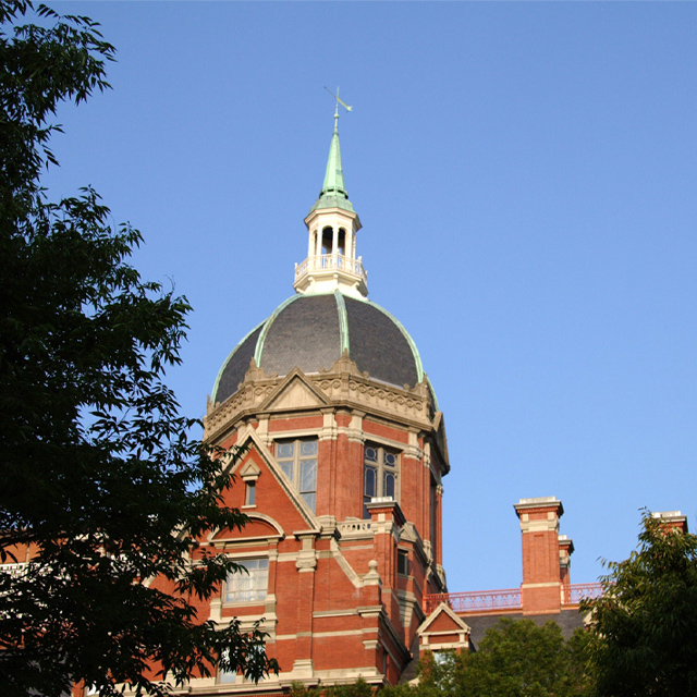 Hopkins dome building