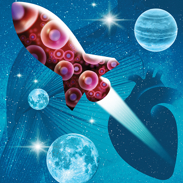 Johns Hopkins Medicine researchers collaborated with NASA to send human heart “tissue-on-a-chip” specimens into space in March aboard SpaceX CRS-27, a resupply mission to the International Space Station. The project is designed to monitor the tissue for changes in heart muscle cells’ mitochondria  and ability to contract in low-gravity conditions.