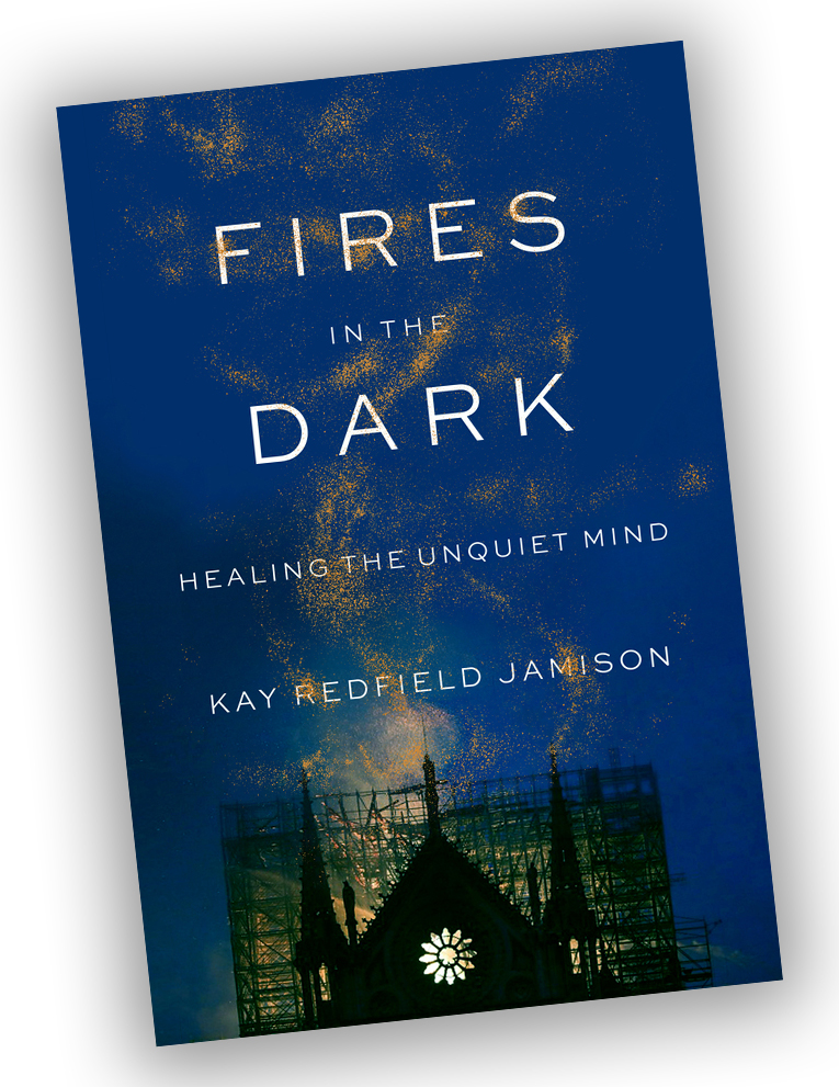 Book cover for Fires in the Dark.