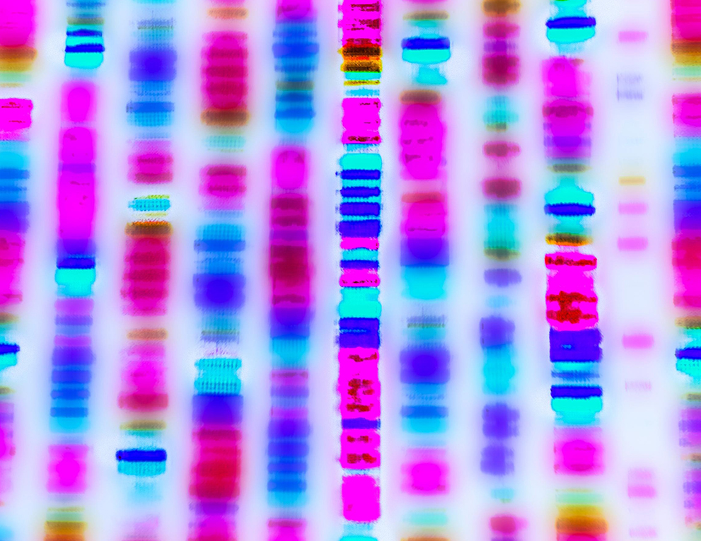 scientific photo showing chromosomes