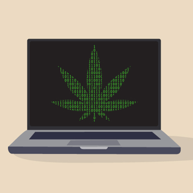 An illustration of a laptop with a pot leaf made out of 1s and 0s