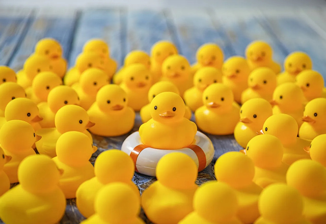 rubber duckies