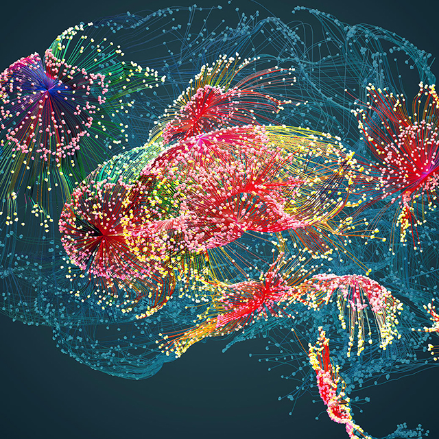 An illustration of a brain with multiple colors and dots