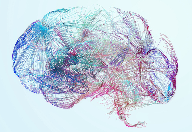 brain colorful graphic