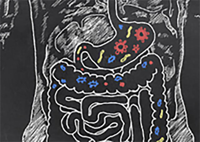 Illustration of bacteria in the human body