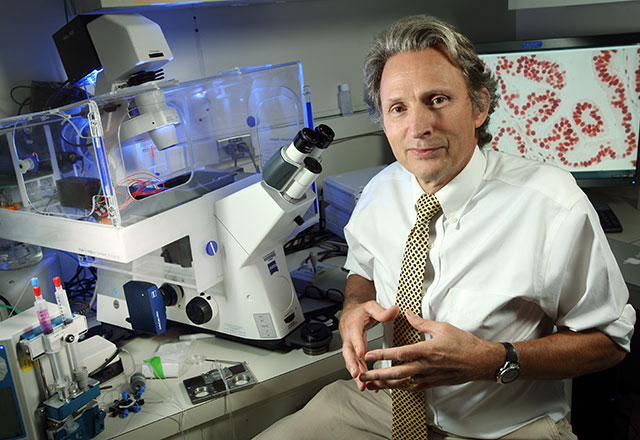 William B. Isaacs, Ph.D.