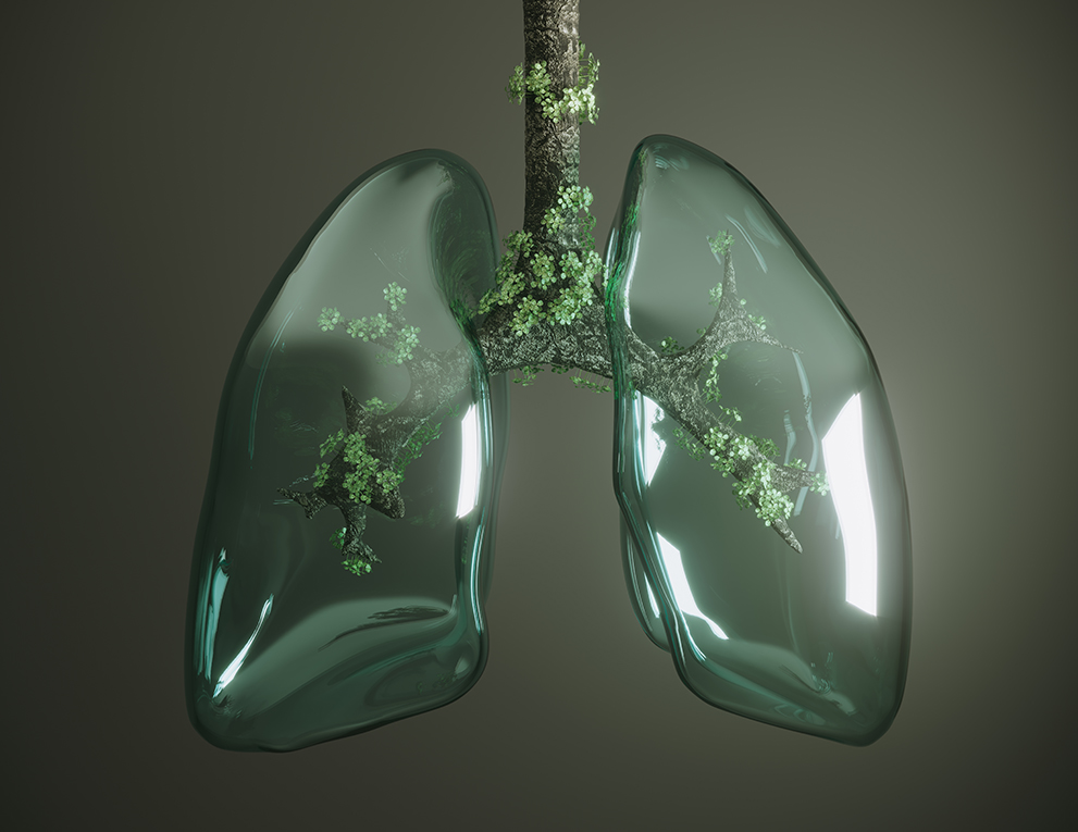 A pair of glass lungs with flowers inside.