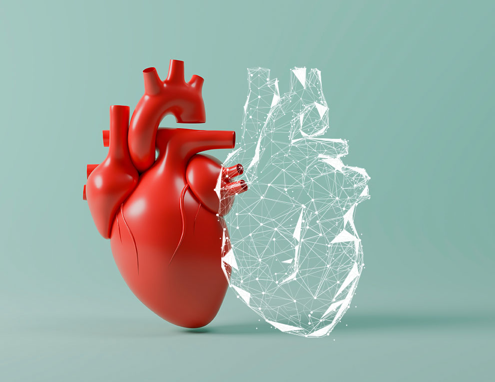 illustration of medical heart