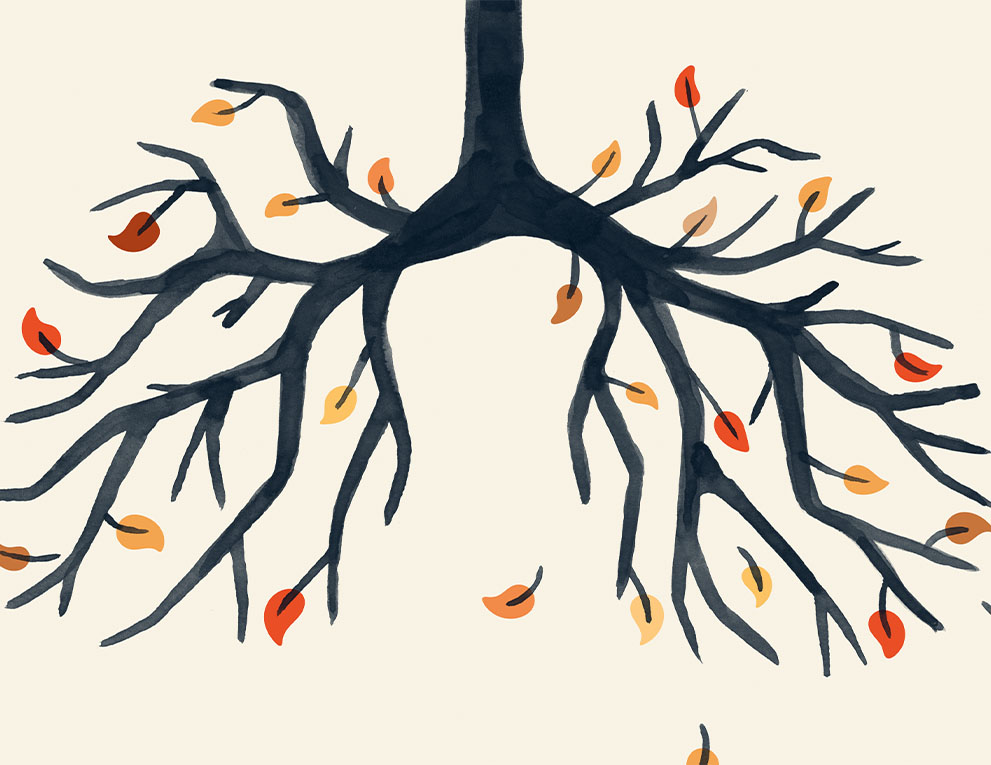 illustration of lungs