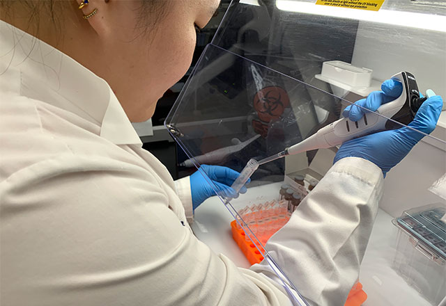 A research using a pipette to transfer liquid into a test tube.