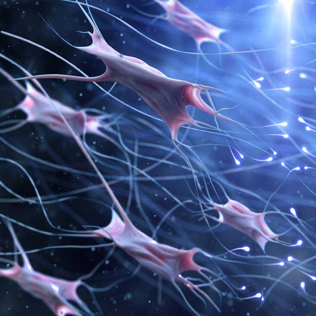Illustration of Fibroblast Activation Protein