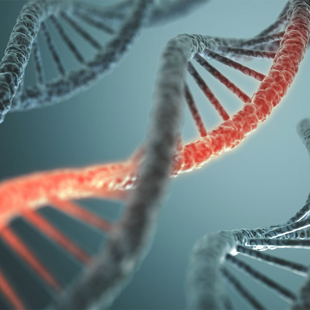 3D Illustration of a DNA strand with a portion highlighted red.