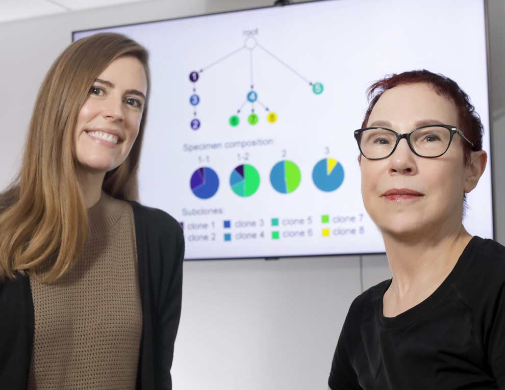 Laura Sena and Rachel Karchin