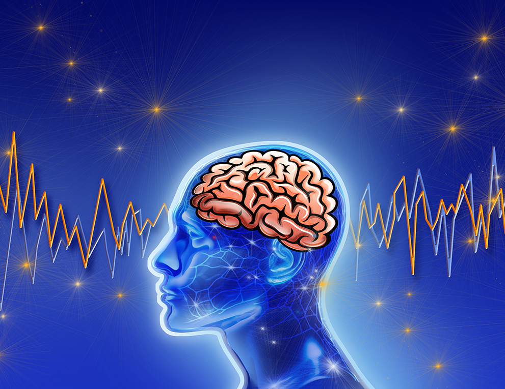 Illustrated side view outline of person with brain showing and EEG readings