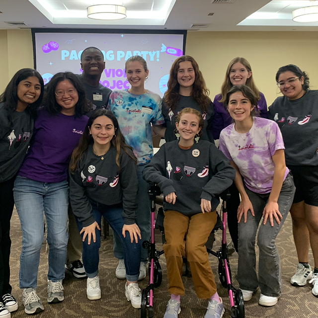 The Violet Project group