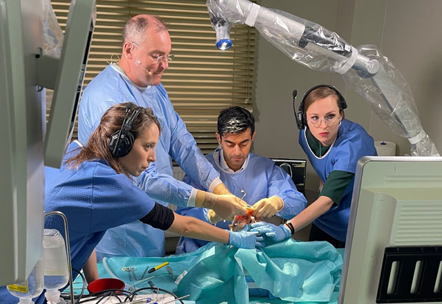 XXI International Conference of the Oncology Section of the Polish Society of Otorhinolaryngologists surgical course
