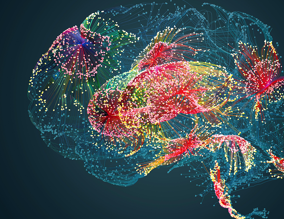 A digital build of a brain made up of varied colored particles.