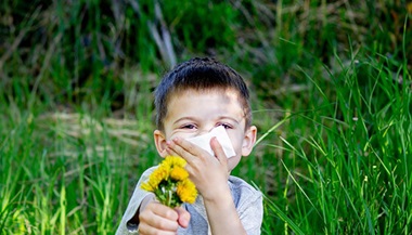 child holding dandelions