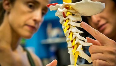 Therapist pointing to pain area in spine.