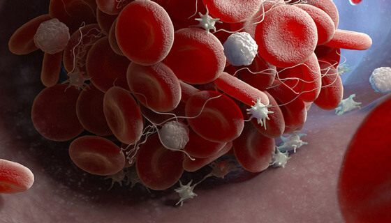 Close up illustration of platelets
