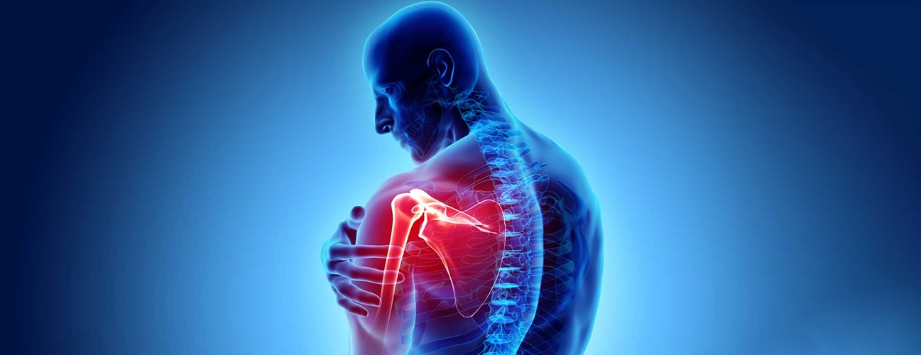 https://www.hopkinsmedicine.org/-/media/images/health/1_-conditions/bones-and-joints/shoulder-pain-hero.jpg?h=500&iar=0&mh=500&mw=1300&w=1297&hash=906FA40A82A90E70E4132F6B6D30A4B6
