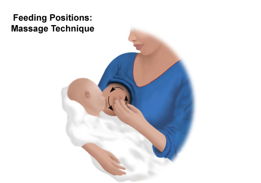 illustration of massage technique during breastfeeding