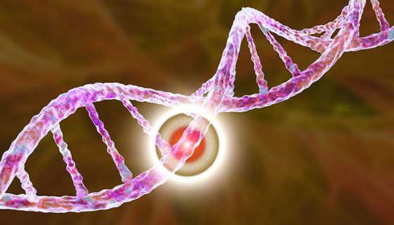 DNA strand with piece highlighted