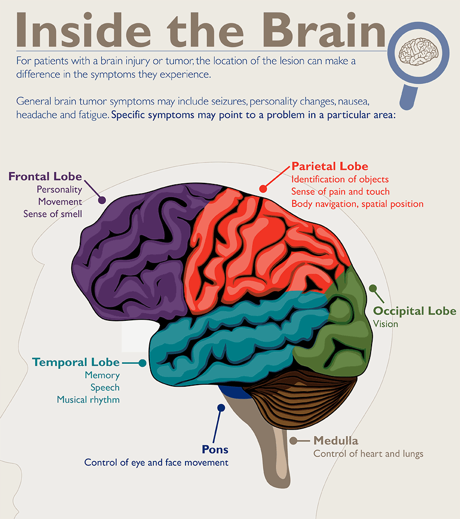 Basics Of Brain Tumors Johns Hopkins Medicine