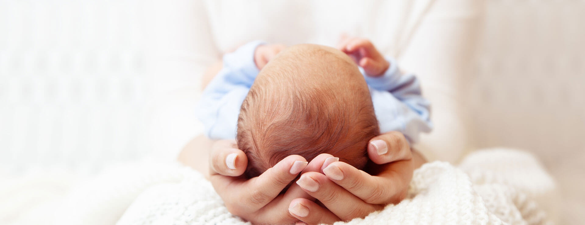 hands holding the head of a newborn baby