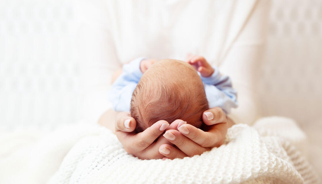 hands holding the head of a newborn baby